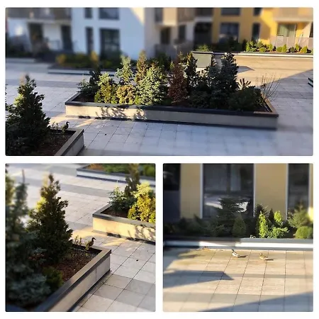 Luxury In Platinia Lejlighed