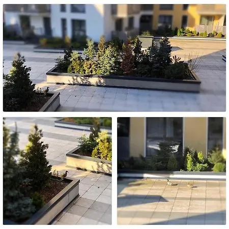 Lejlighed Luxury In Platinia *